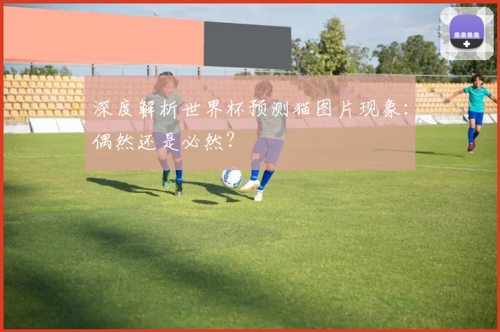 深度解析世界杯预测猫图片现象:偶然还是必然?