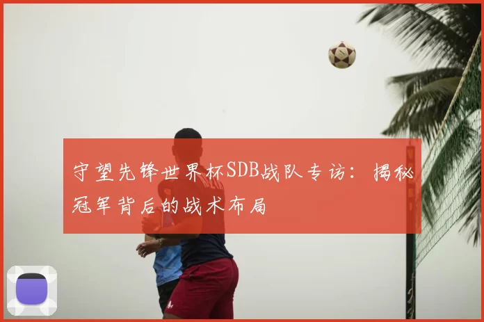 守望先锋世界杯SDB战队专访:揭秘冠军背后的战术布局