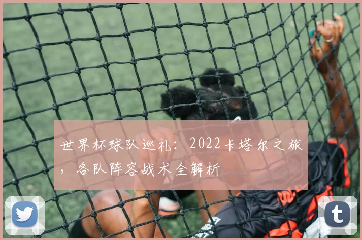 世界杯球队巡礼：2022卡塔尔之旅，各队阵容战术全解析