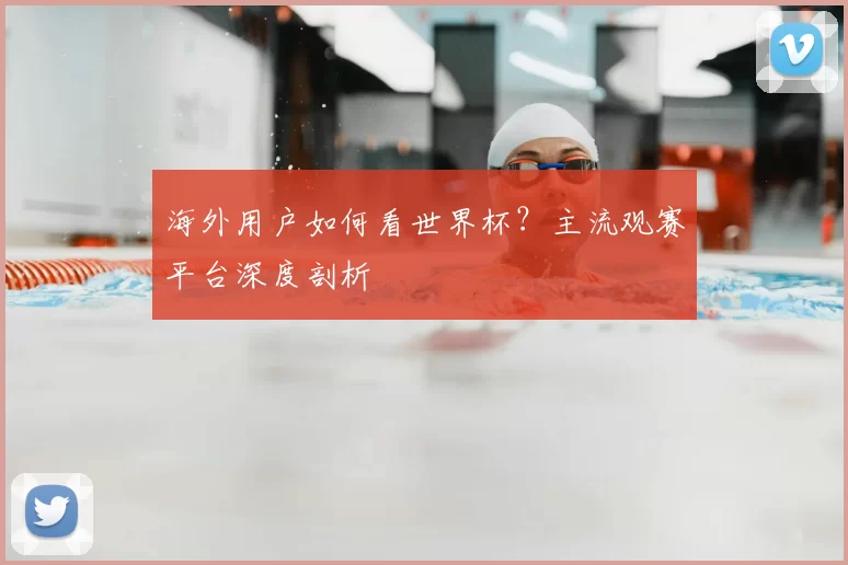 海外用户如何看世界杯？主流观赛平台深度剖析