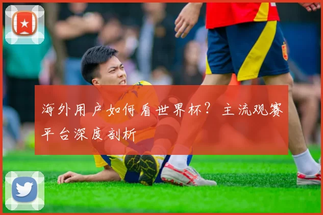 海外用户如何看世界杯？主流观赛平台深度剖析