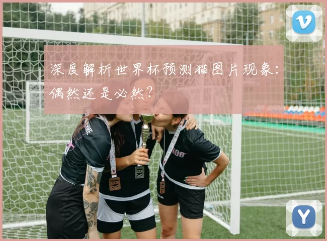 深度解析世界杯预测猫图片现象:偶然还是必然?