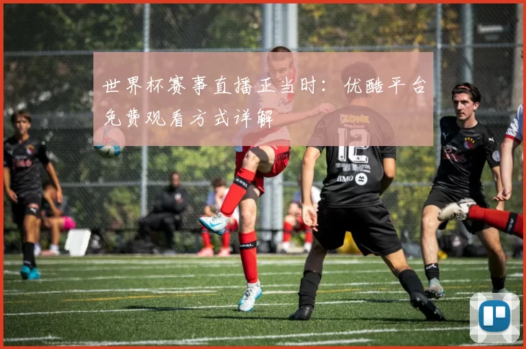 世界杯赛事直播正当时：优酷平台免费观看方式详解
