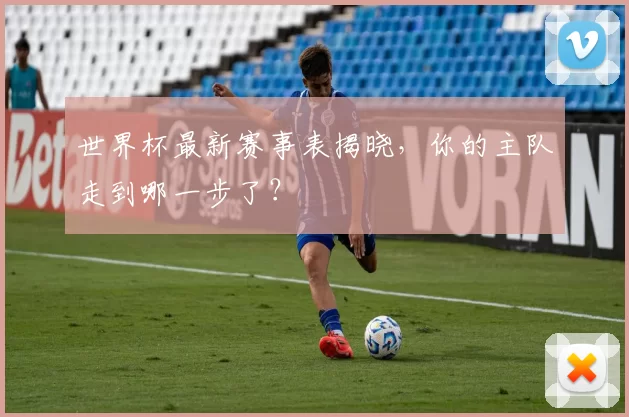 世界杯最新赛事表揭晓,你的主队走到哪一步了?