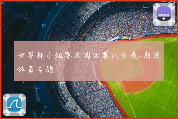 世界杯小组赛及淘汰赛比分表_新浪体育专题