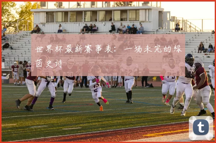世界杯最新赛事表：一场未完的绿茵史诗