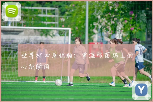 世界杯回看优酷：重温绿茵场上的心跳瞬间