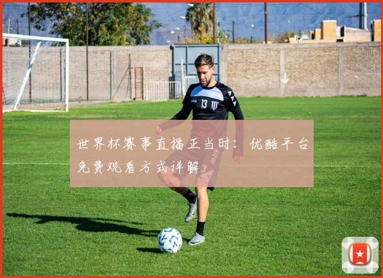世界杯赛事直播正当时：优酷平台免费观看方式详解