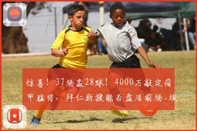 惊喜！37场轰28球！4000万敲定荷甲猛将，拜仁新援能否盘活前场_埃因霍温_巴里_球员