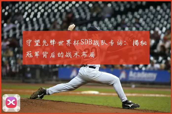 守望先锋世界杯SDB战队专访：揭秘冠军背后的战术布局