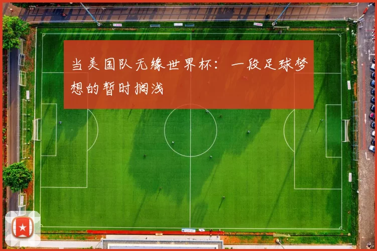 当美国队无缘世界杯：一段足球梦想的暂时搁浅